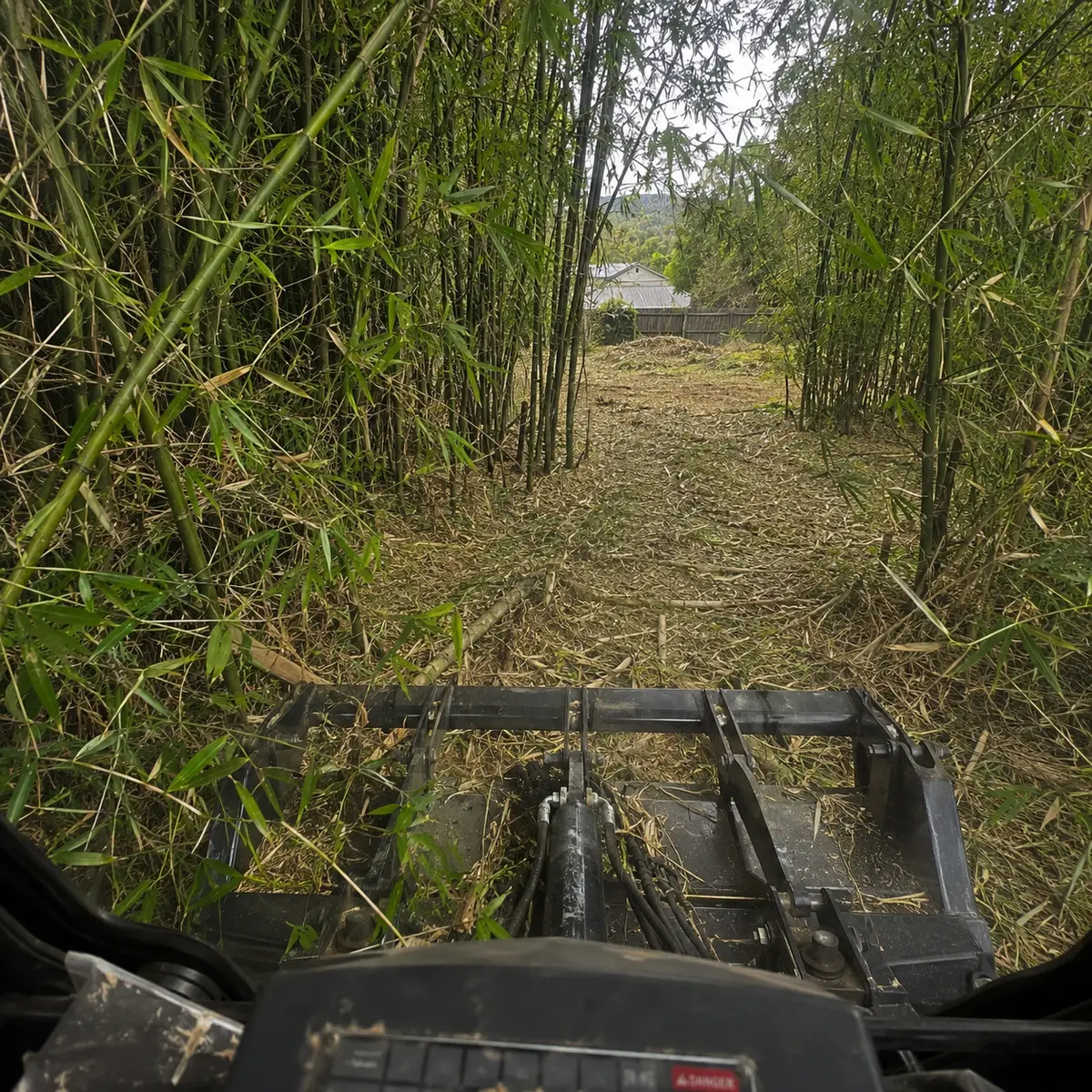 Operator view clearing a bamboo thicket with a mulcher on a Queensland property