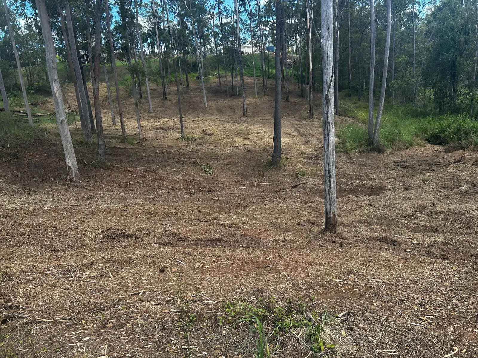 Understorey fuel load reduced by forestry mulching in Queensland