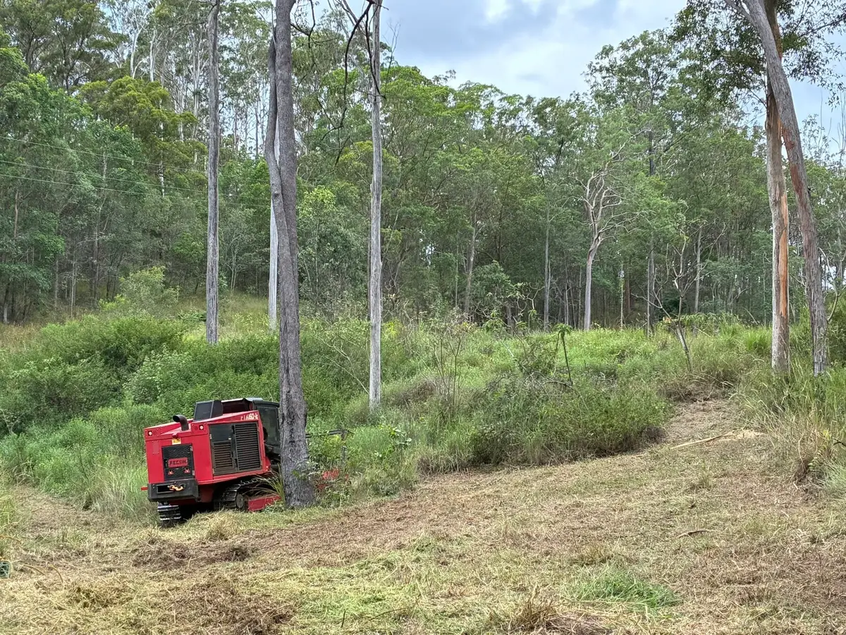 Thick overgrown vegetation on a rural property waiting to be cleared in Queensland
