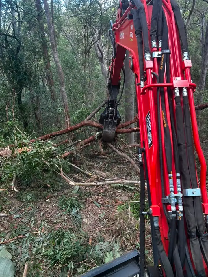 Excavator grapple clearing fallen timber during tree clearing in Queensland